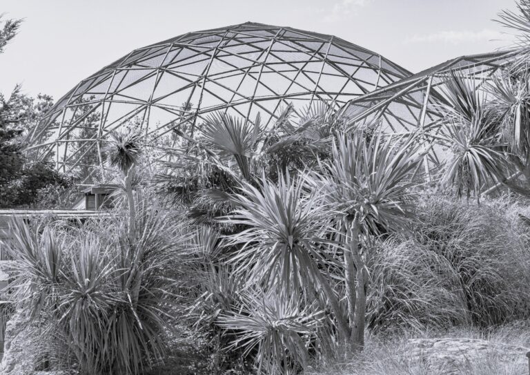 Regenerative architecture